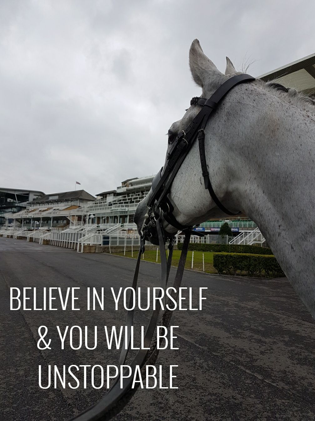 26220742_695505463981487_802612955338182580_o