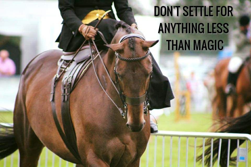 28951321_723267557871944_8873950243729702912_n