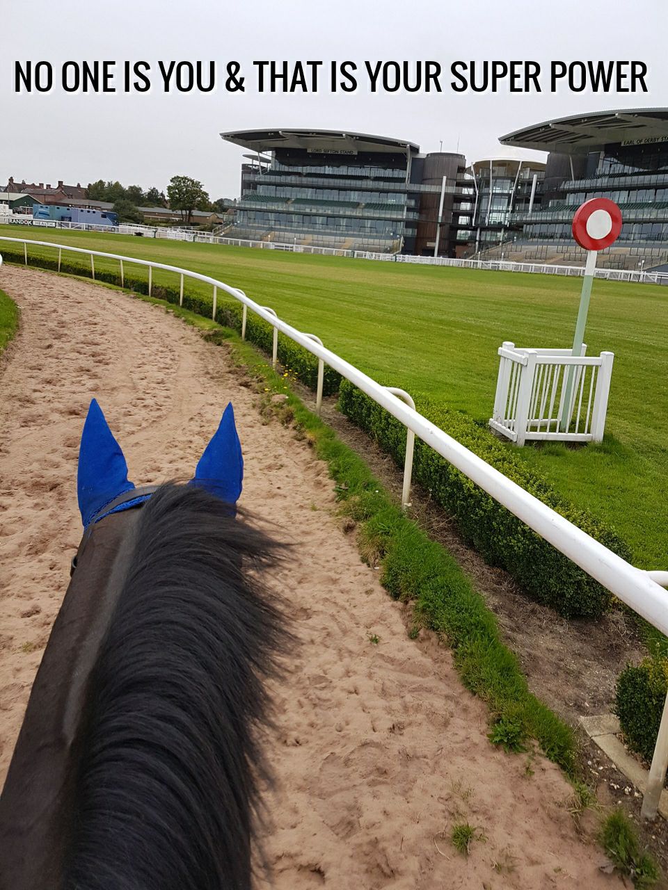 30412664_735916359940397_2745830389707702272_o