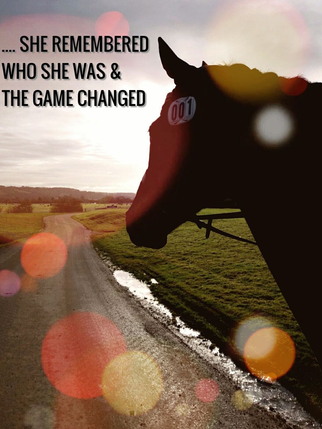 31144144_742042912661075_27048381180280832_o