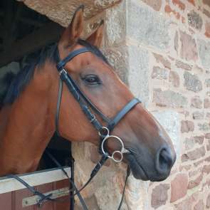 41401624_2191769640895744_1985685061659262976_n