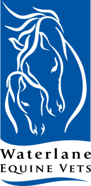 waterlaneequinevets-logo-wht