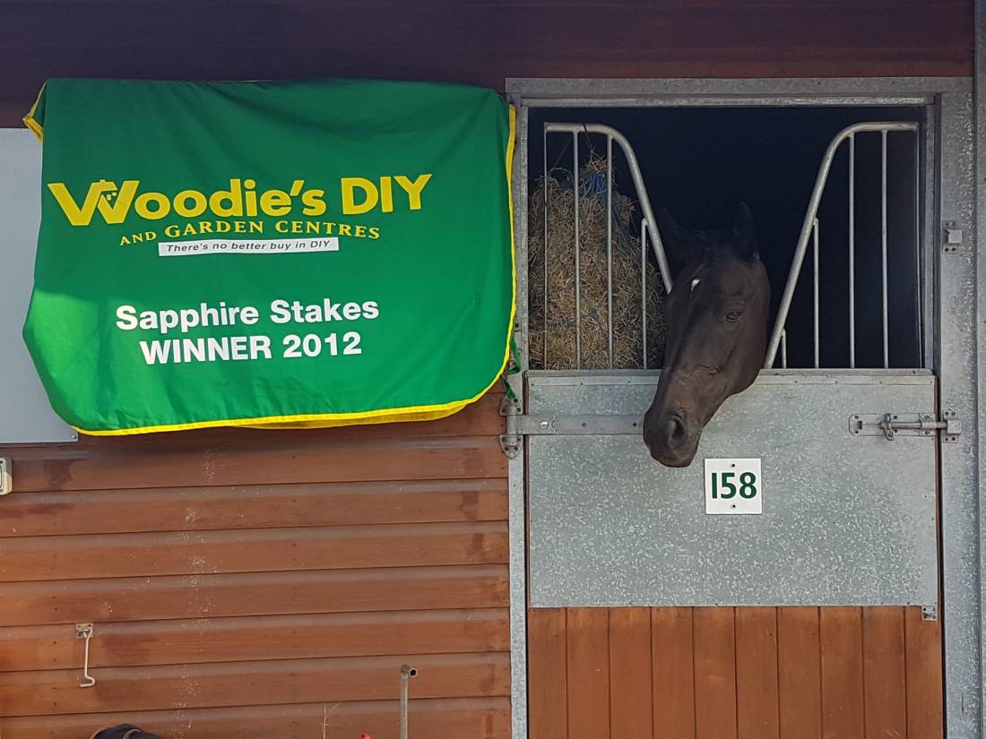 39777230_830888440443188_5083279569331421184_o