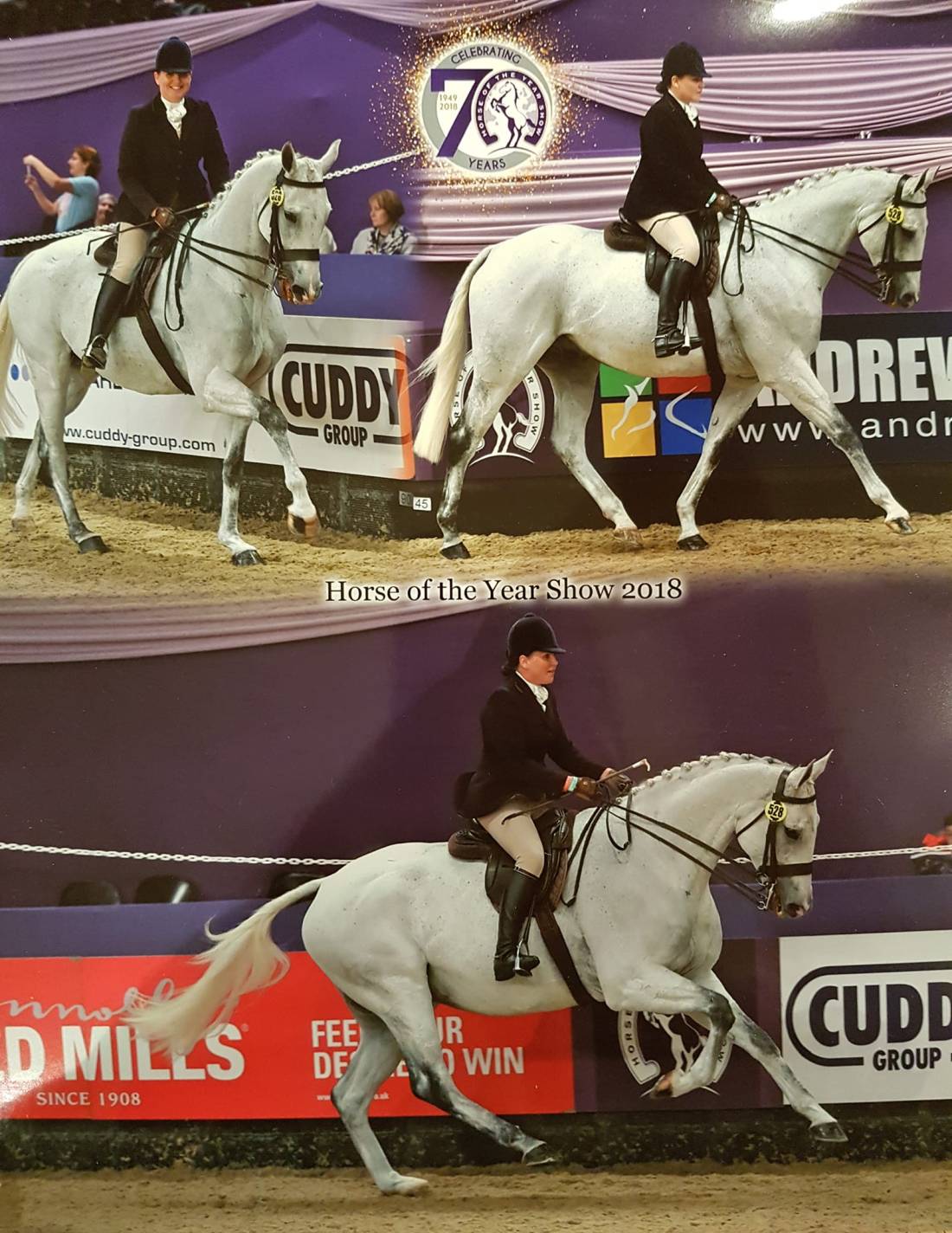 43157926_10155693638495373_3396082983713636352_o