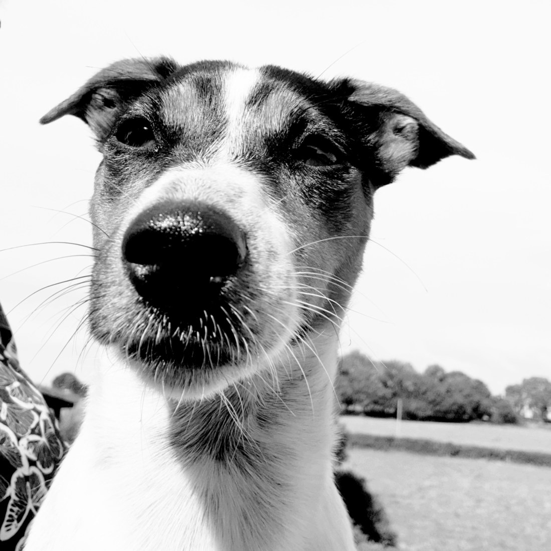 IMG_20180902_131629_733