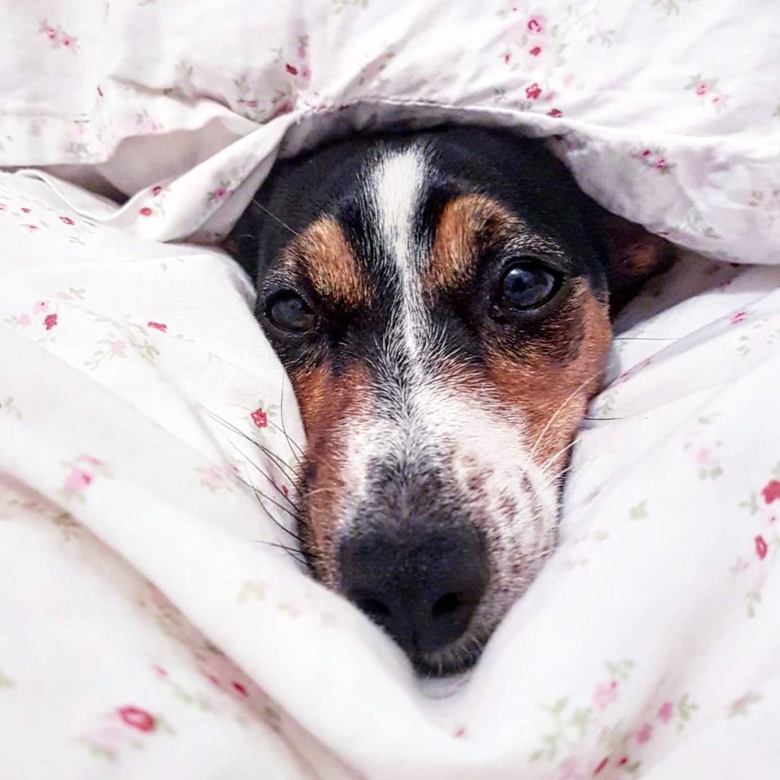 IMG_20180905_153105_440