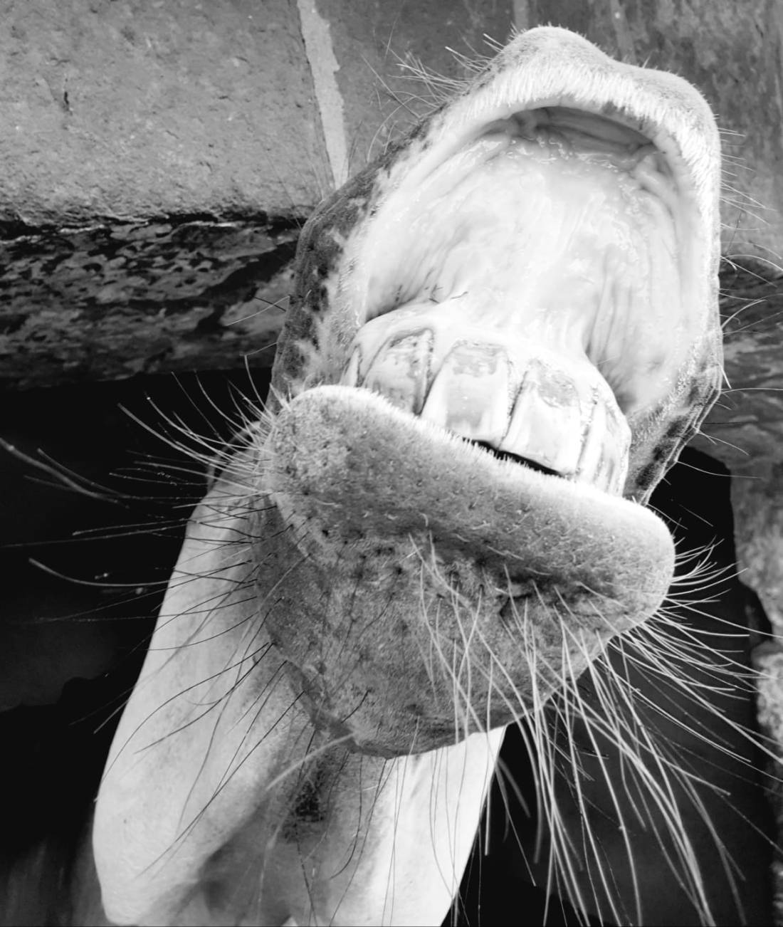 WhatsApp Image 2018-10-03 at 12.26.01