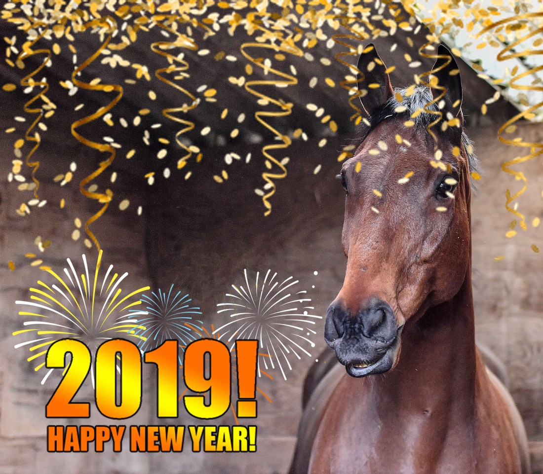 happy new year_edited-1.jpg