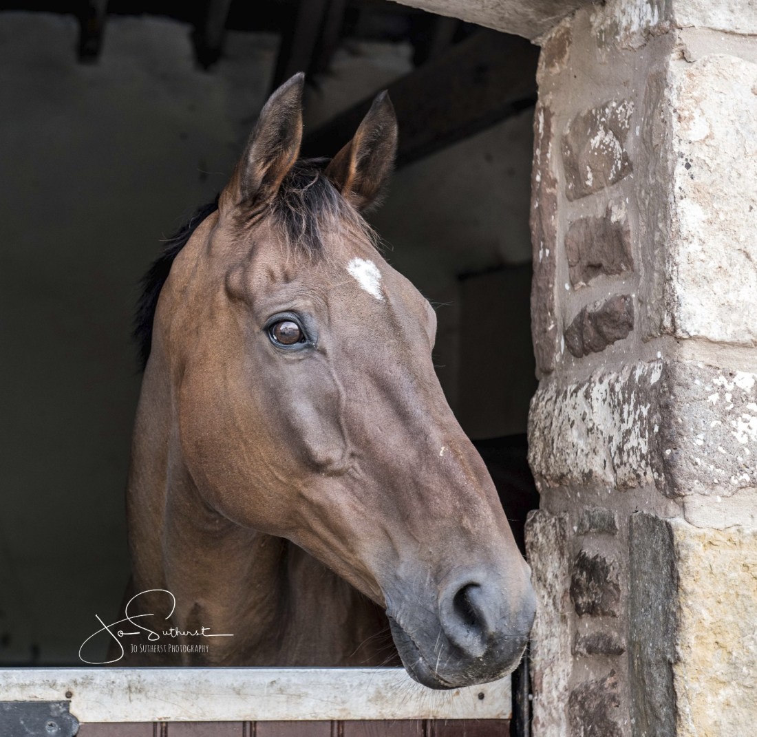 WhatsApp Image 2018-11-07 at 10.09.38