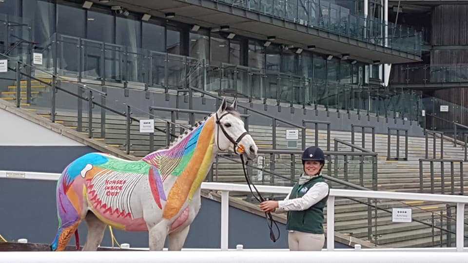 47179068_882676515264380_3186929934803140608_n