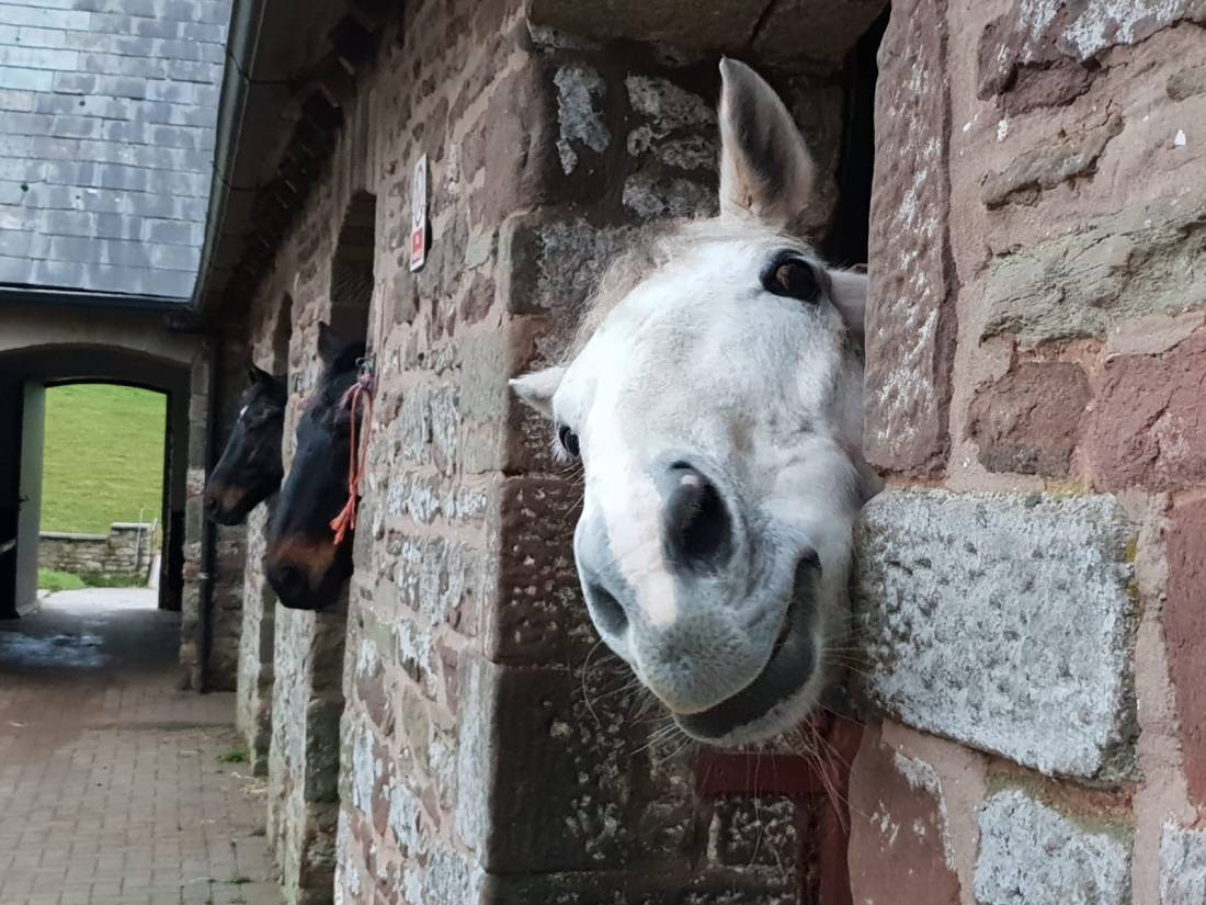 whatsapp image 2018-12-29 at 16.59.46