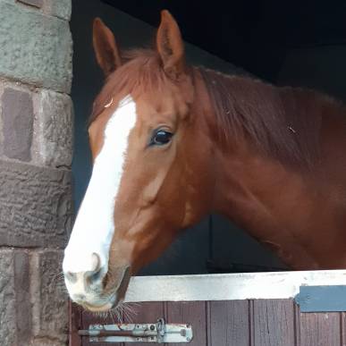 whatsapp image 2019-01-17 at 15.18.32