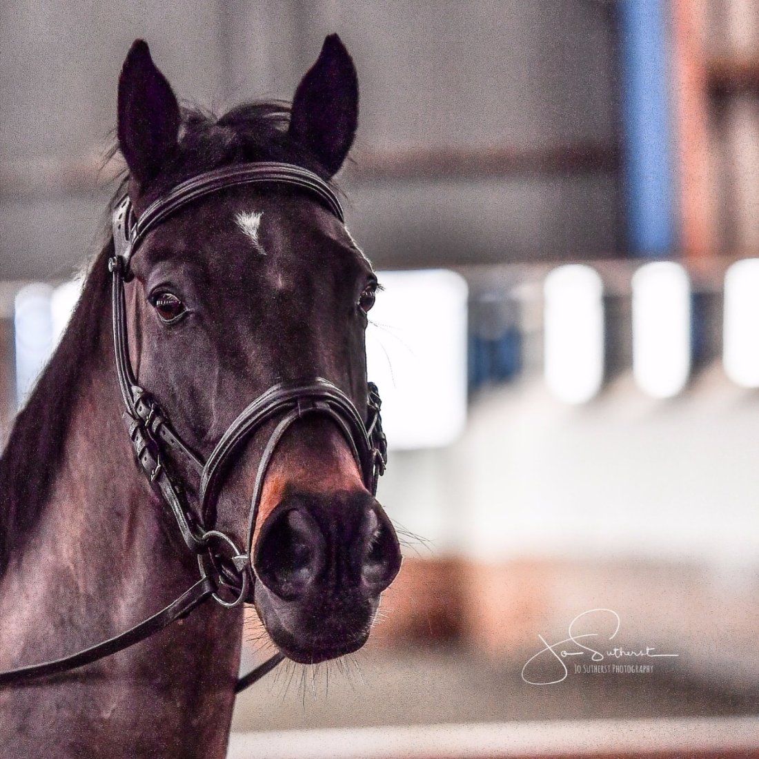 52749930_1125058267668902_5471663961441042432_o