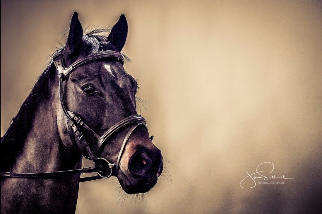 52924199_1125060704335325_4848042342218727424_o