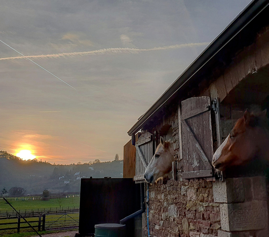 Screenshot 2019-02-27 at 17.30.53