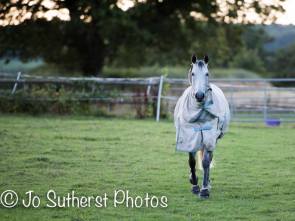 11885367_472194852955250_1554478632526470937_n