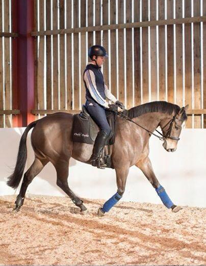 12565534_10153293612800373_6684031327692874898_n