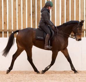 12790879_10153360998120373_5807229322099583728_n