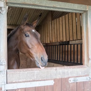 22550944_10154729775295059_2036409772_o