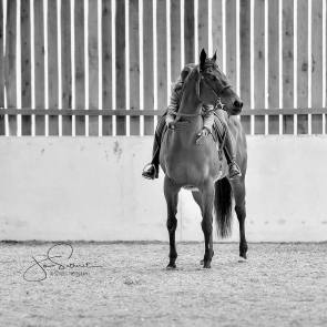 29101745_556066424779436_7388648878012104704_n