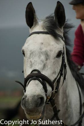 48145_262241933950544_1056526617_n