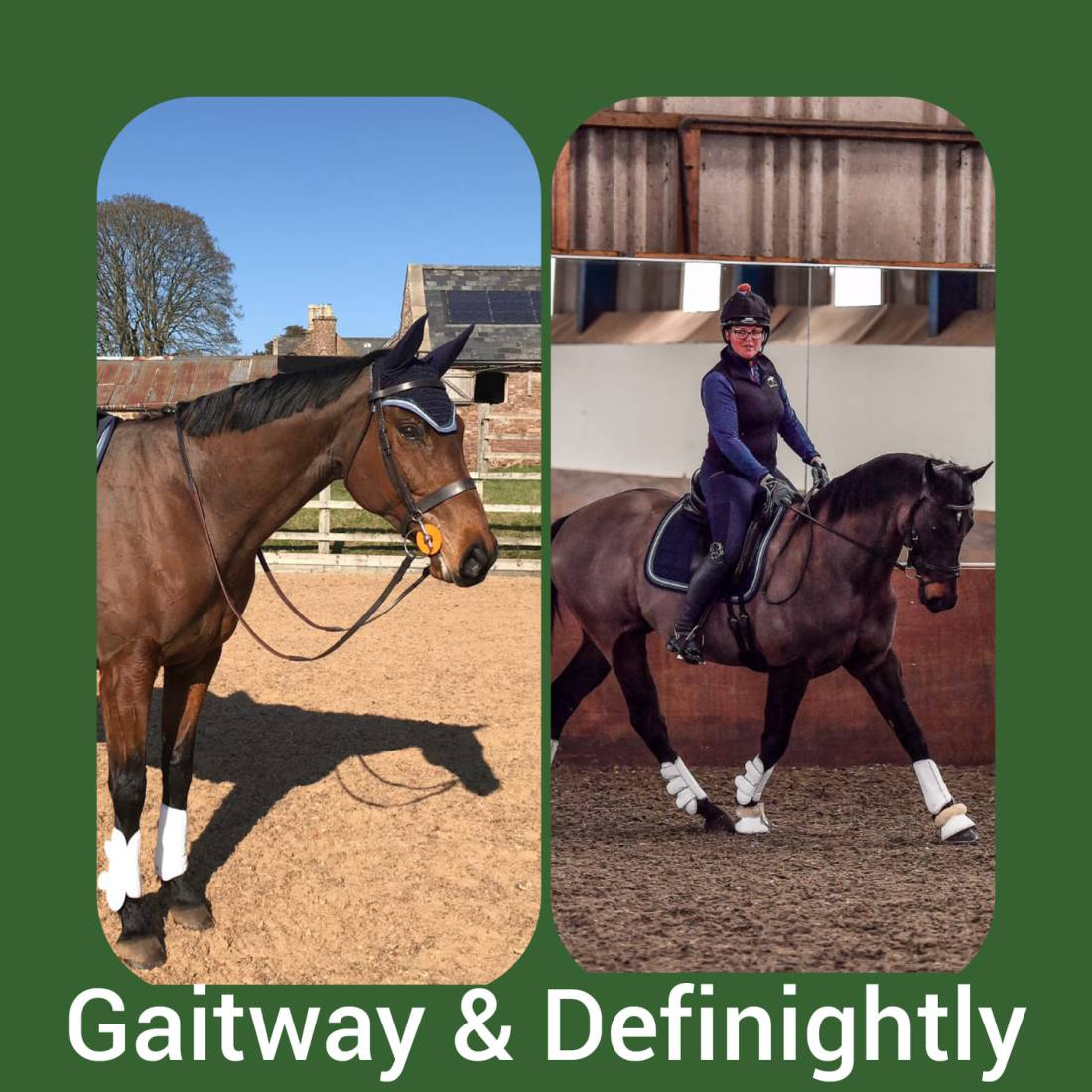 53279002_941375739394457_6503167758497218560_o