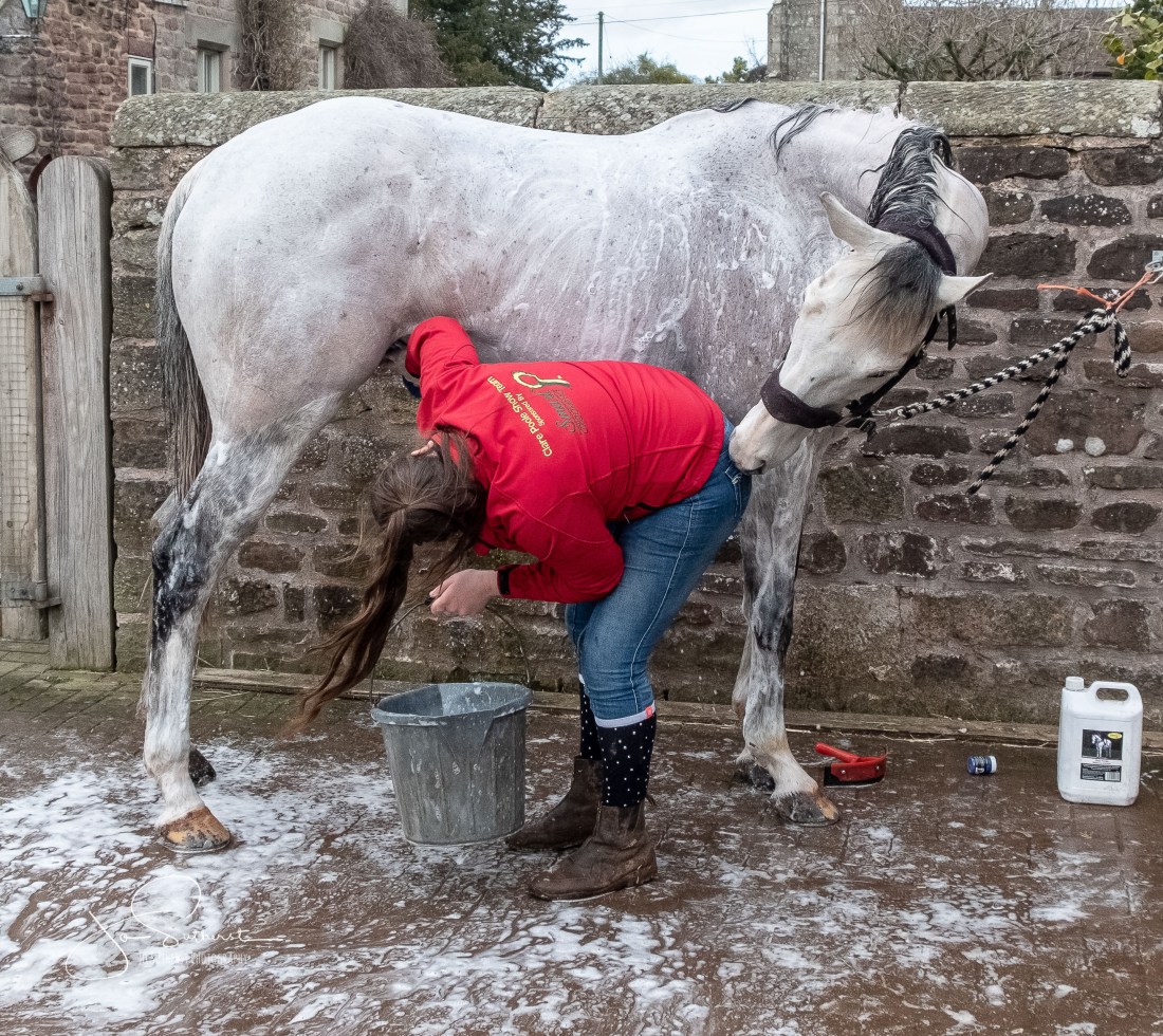 Clare Poole Feb 2019- Body During