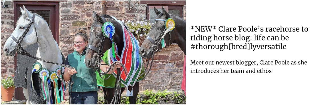 20190418-Screenshot 2019-04-18 at 13.01.04