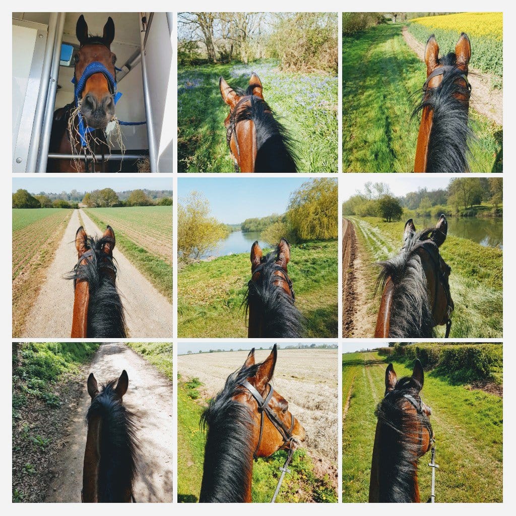 57465165_962679360597428_1180509892025253888_o