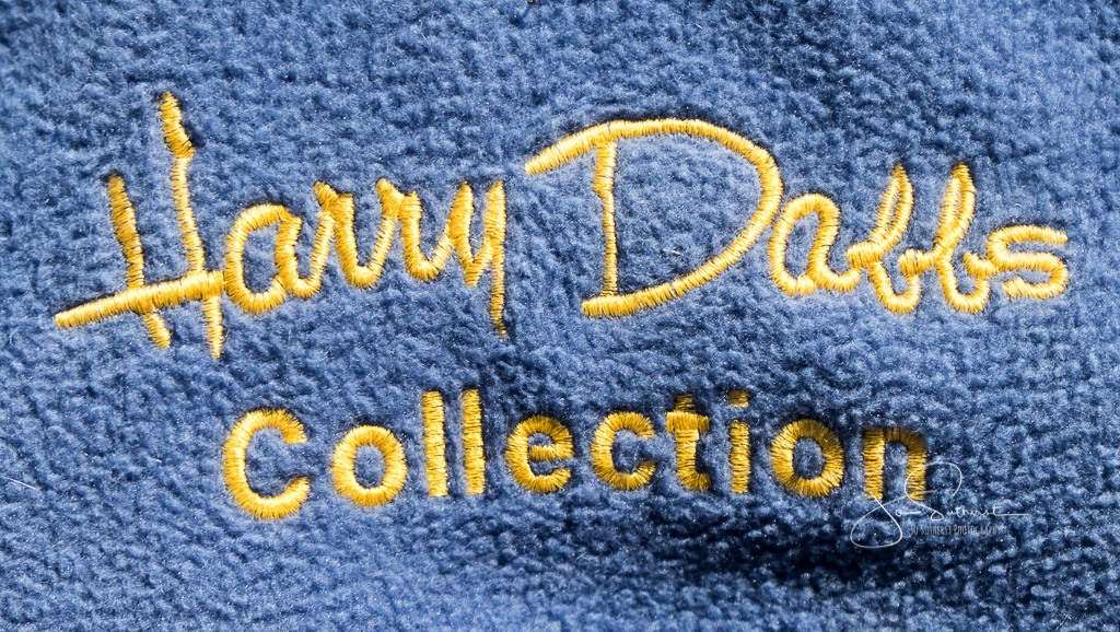 60919561_981768952021802_5956105911306027008_o