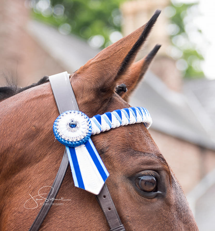 61902517_991280334403997_4543589694201397248_n