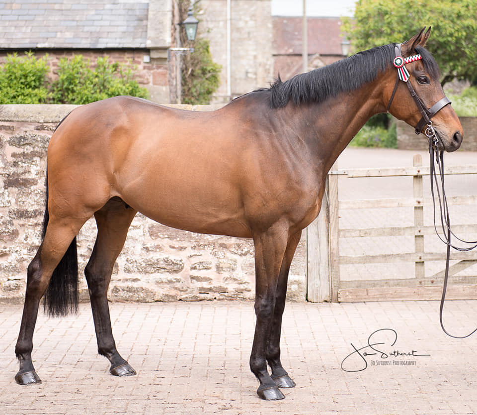 62078353_991279861070711_5807455040197099520_n