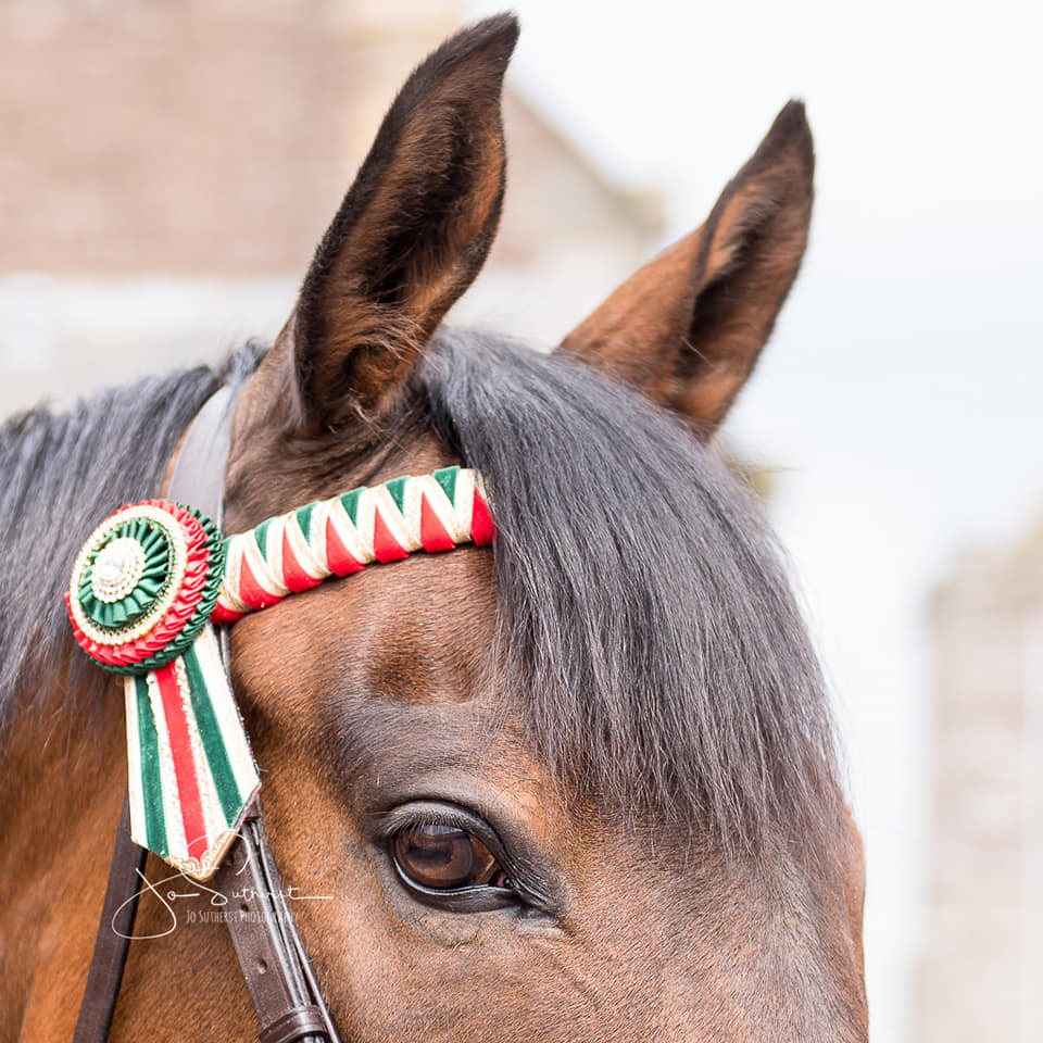 62114710_991280107737353_5573091851814043648_n