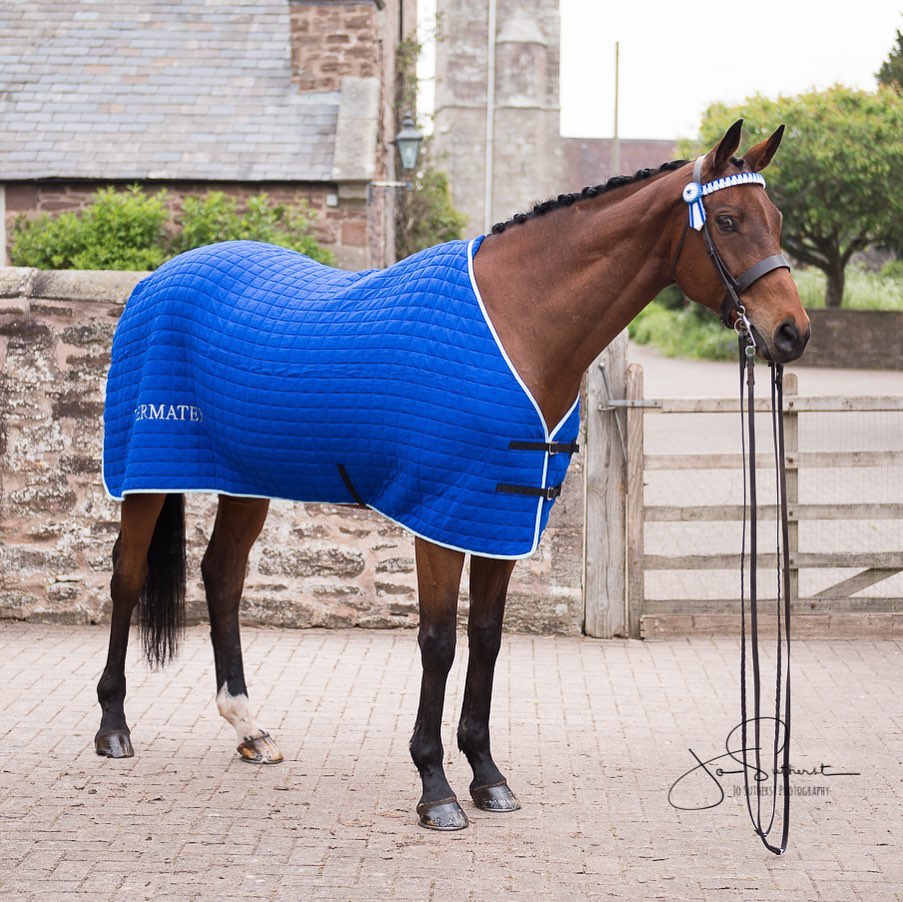 71790104_2572936039433755_333104765690970112_n