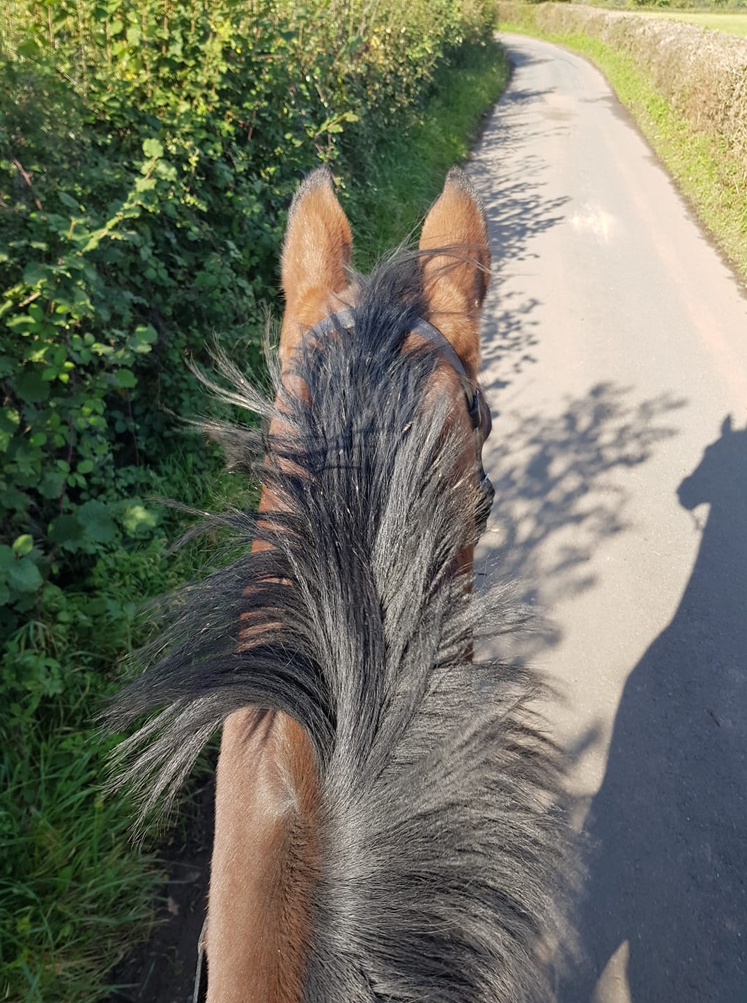 72886946_1090976111101085_7206961238721429504_o