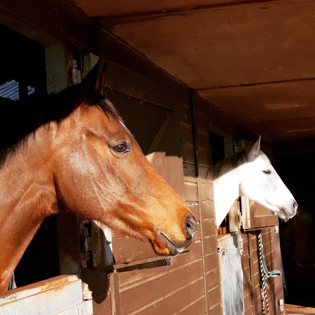 82869647_1172603056271723_2438683465755918336_o