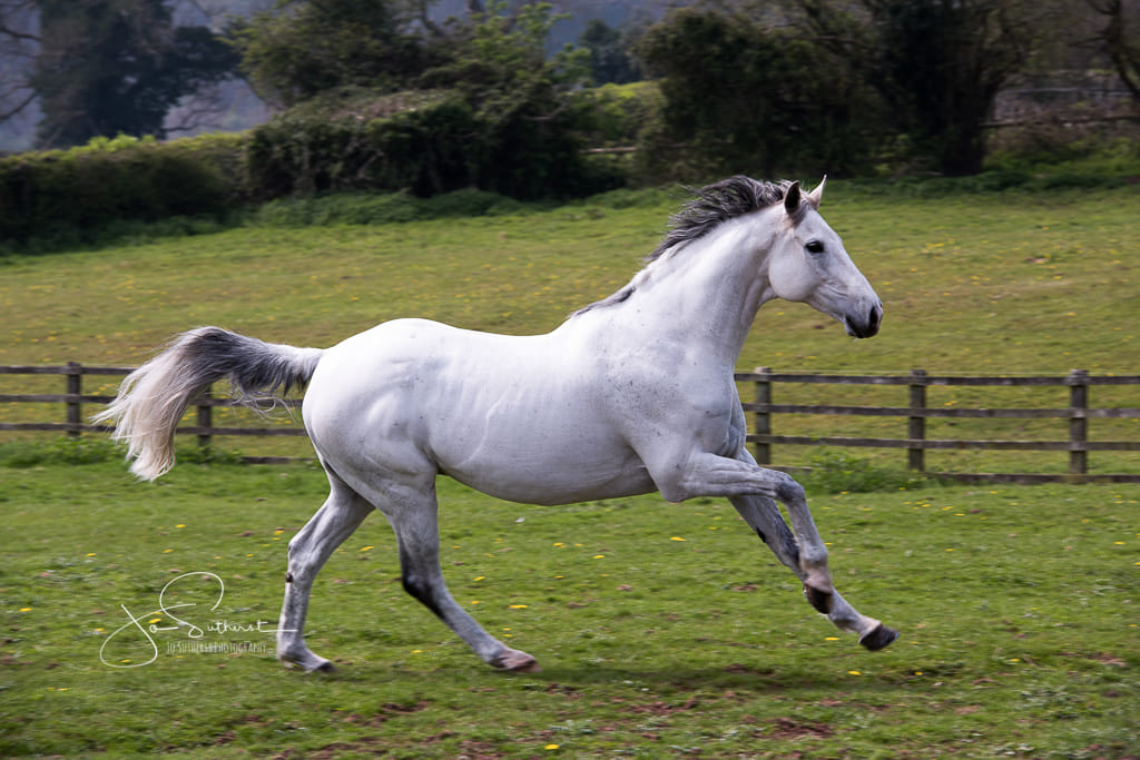 83479245_1176571569208205_3000350770143952896_o