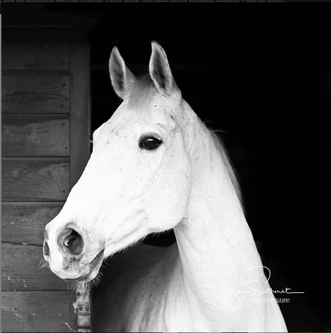 Screenshot 2020-01-28 at 19.54.47