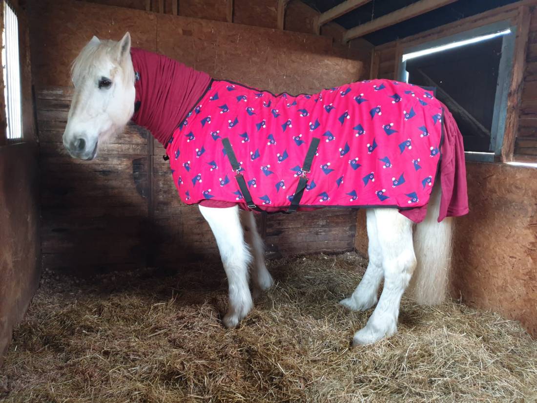 WhatsApp Image 2020-01-21 at 12.45.04