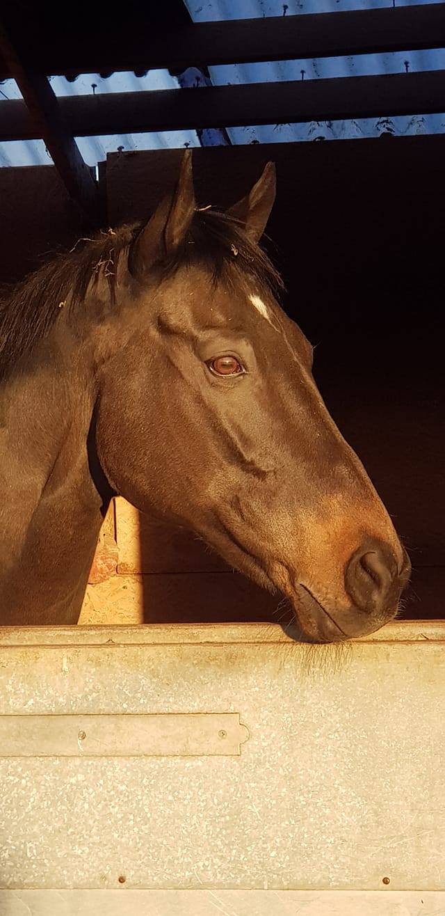 90431975_1219421361589892_1141343501137477632_o