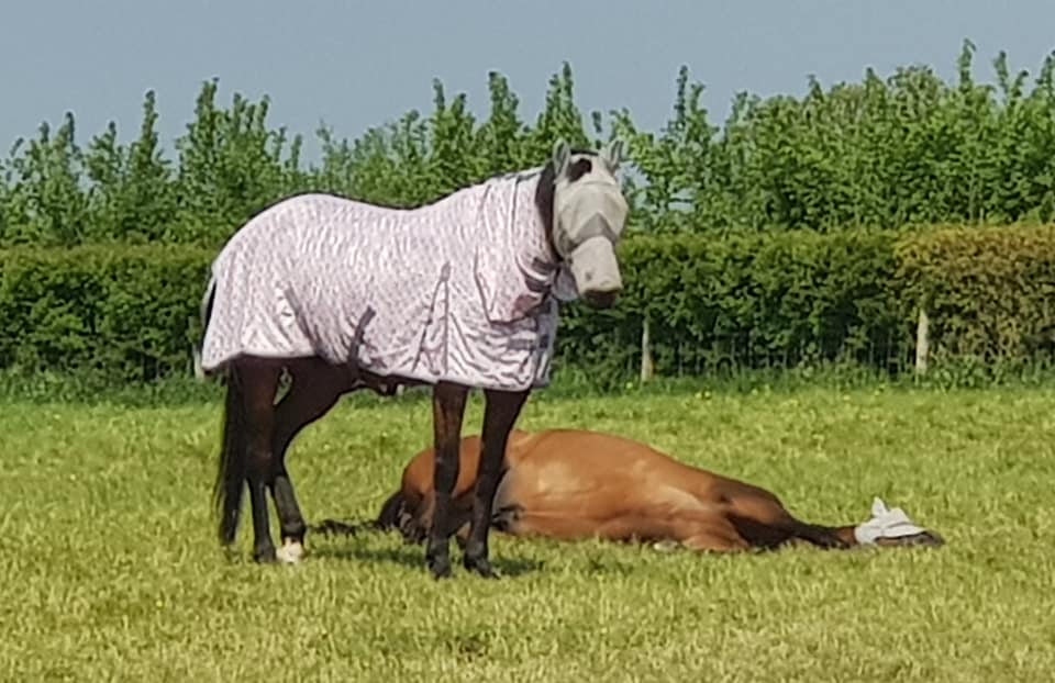 95032123_1248321072033254_2407811618789392384_n