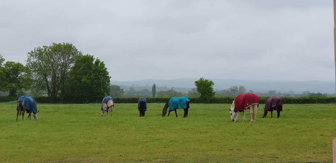 95091609_1248320768699951_7084692376026873856_o