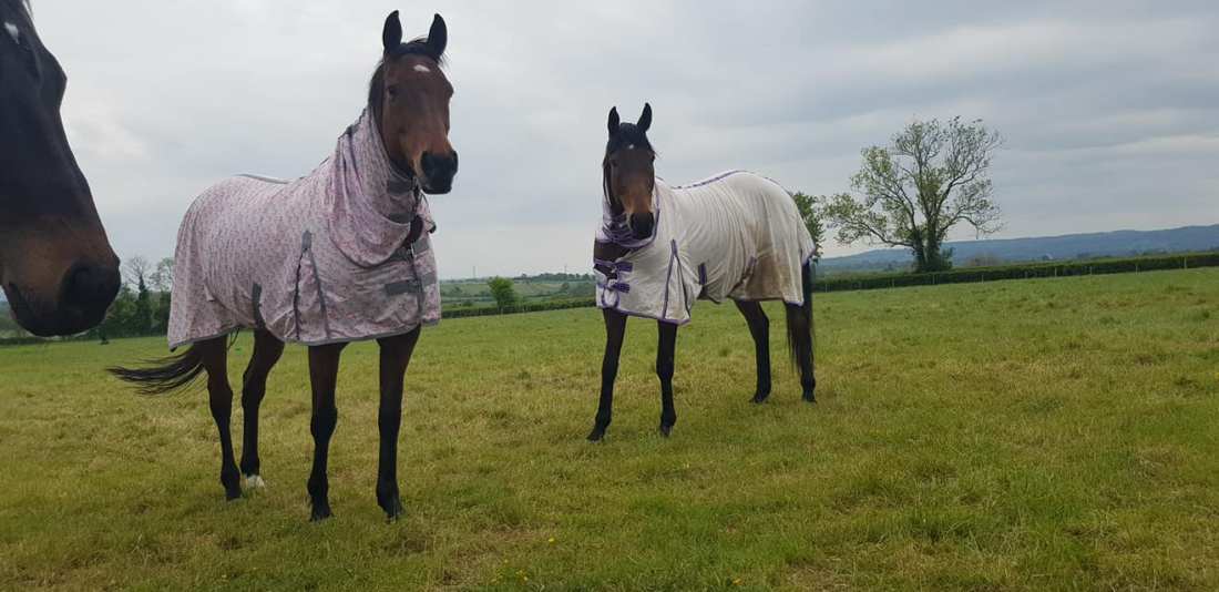 95154776_1248321132033248_946348627234652160_o