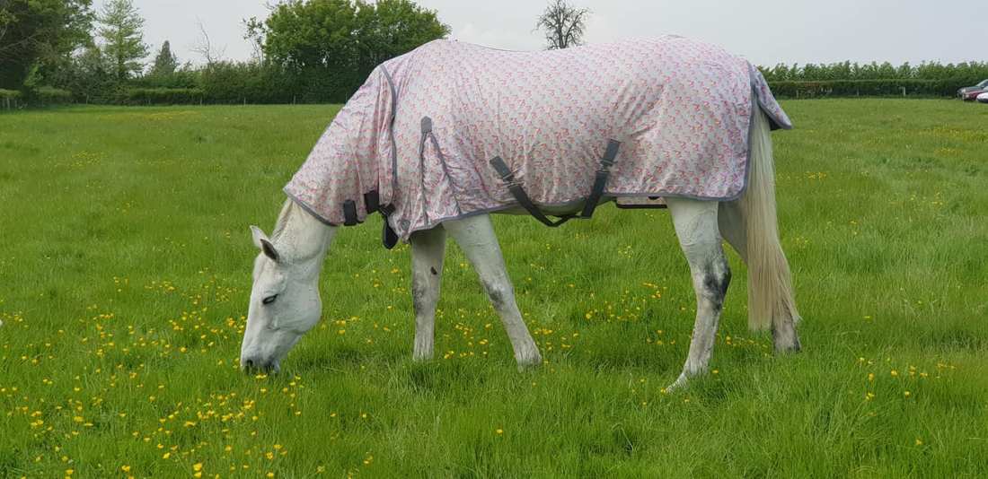 95220111_1248321275366567_6698282298778845184_o