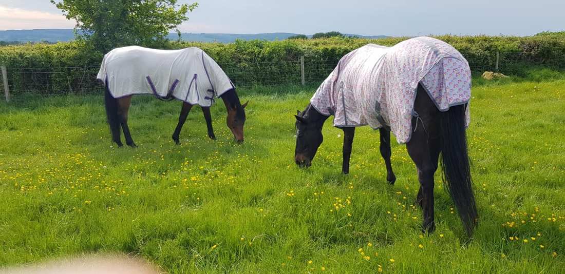 95327040_1248320902033271_4233866520016453632_o