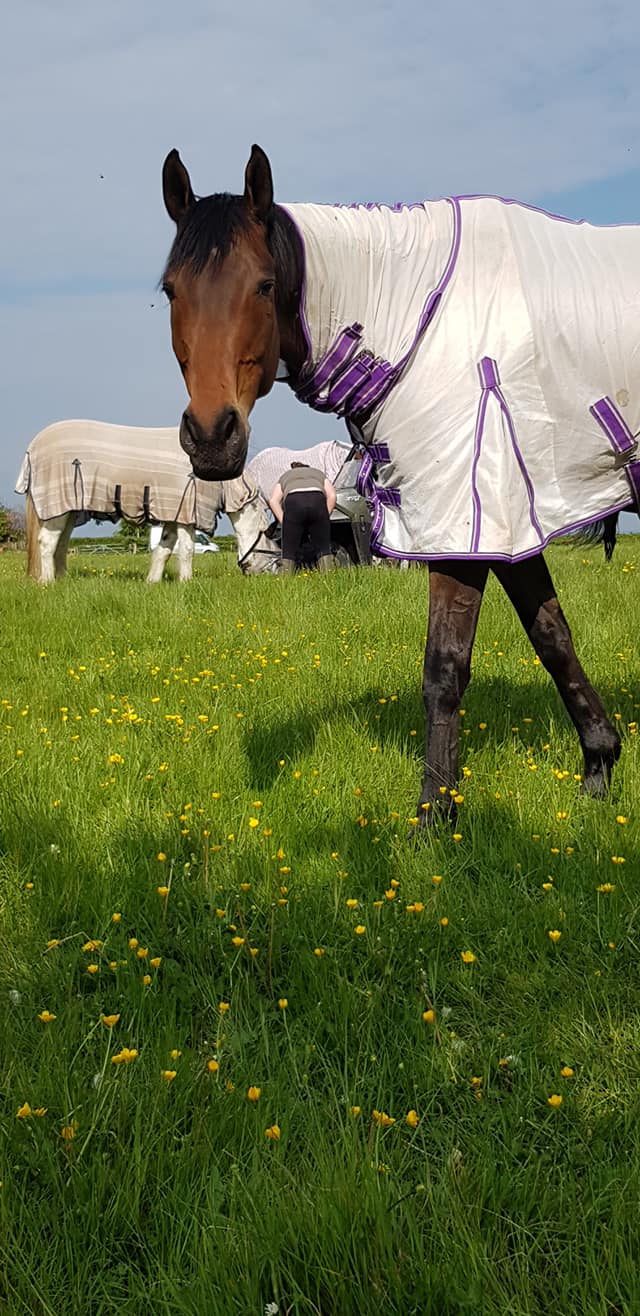 95365428_1248320982033263_344889365677211648_o