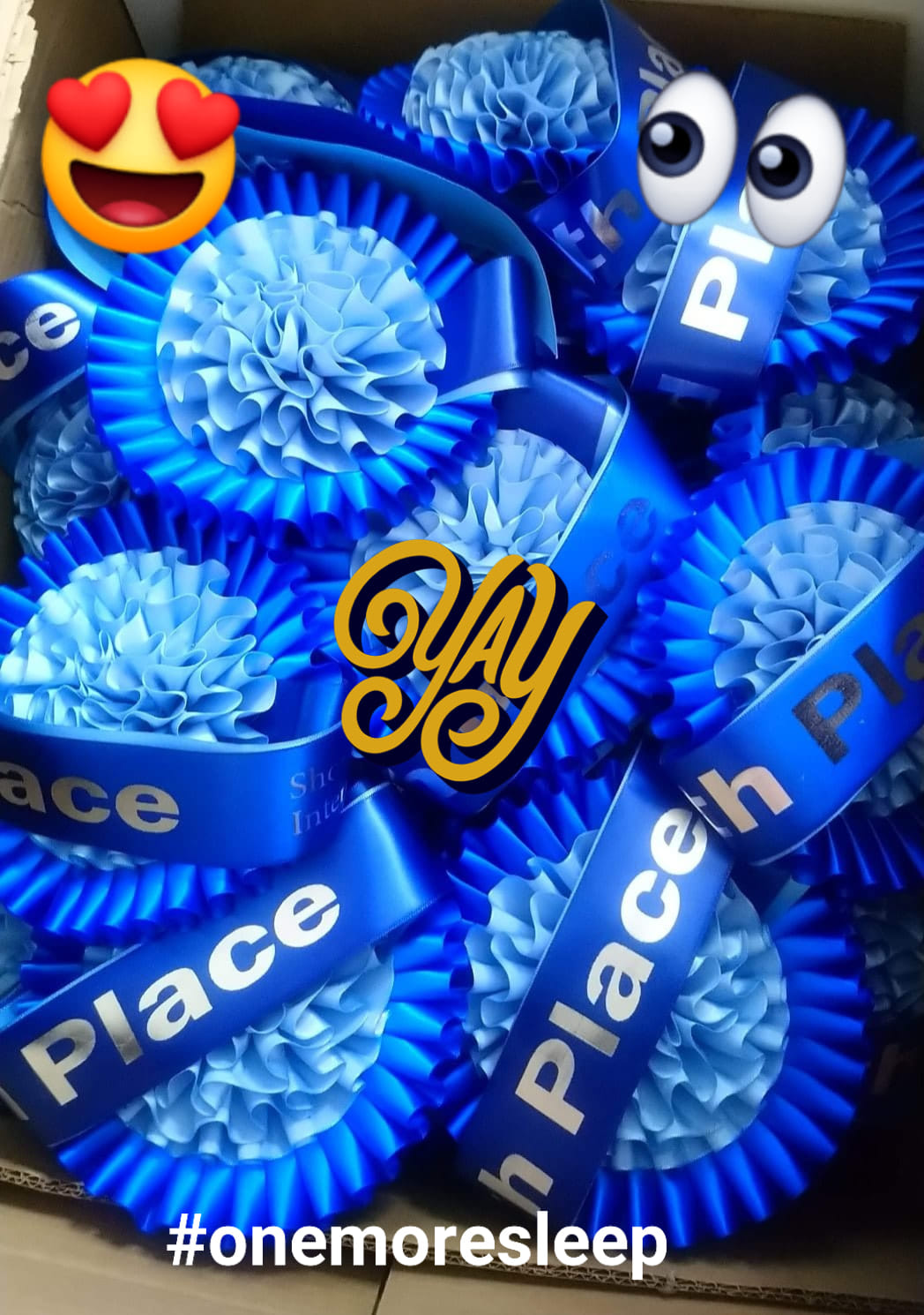 95722004_124594162543494_8071451594635345920_o