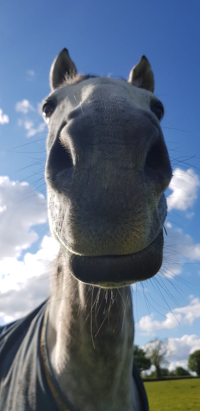 95842048_1251219898410038_448093336696258560_o