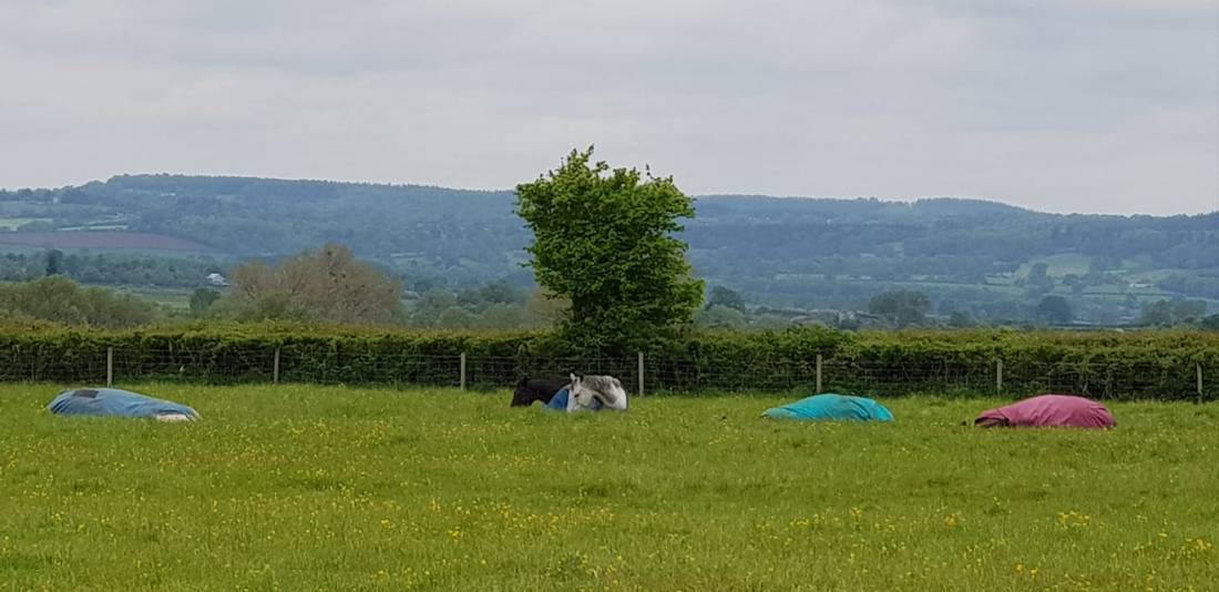 96001885_1252060868325941_6268719138919677952_o