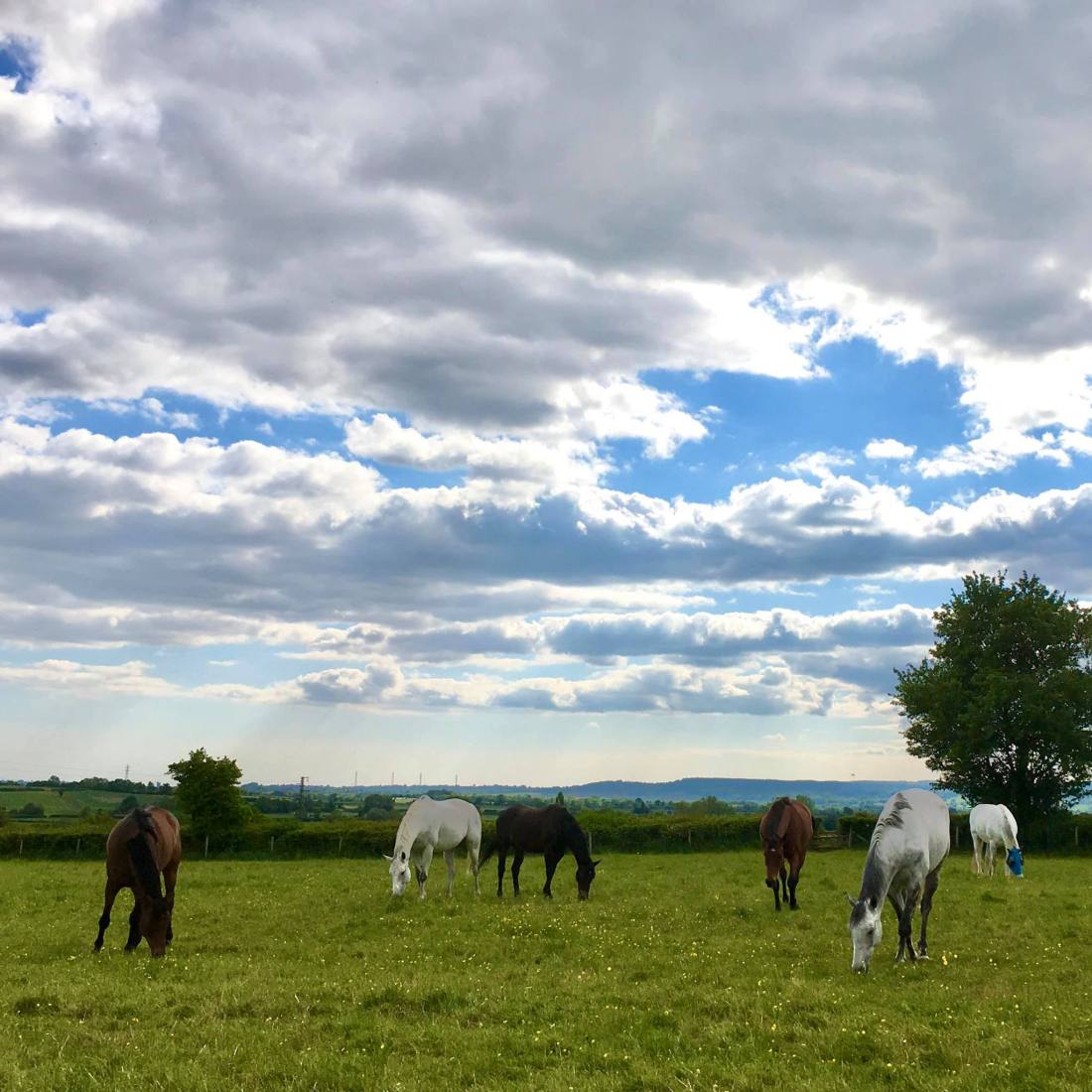 96870426_10156936958595059_7931969417846456320_o